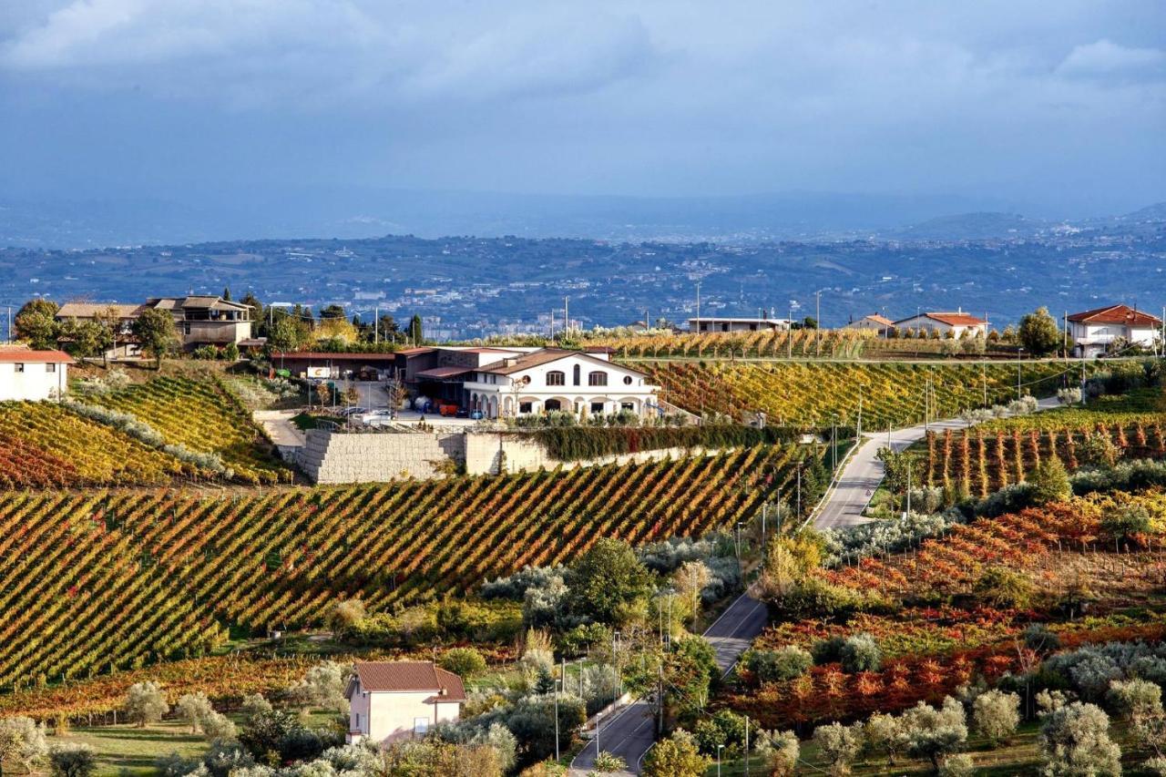 Torrecuso Cantine Iannella מראה חיצוני תמונה